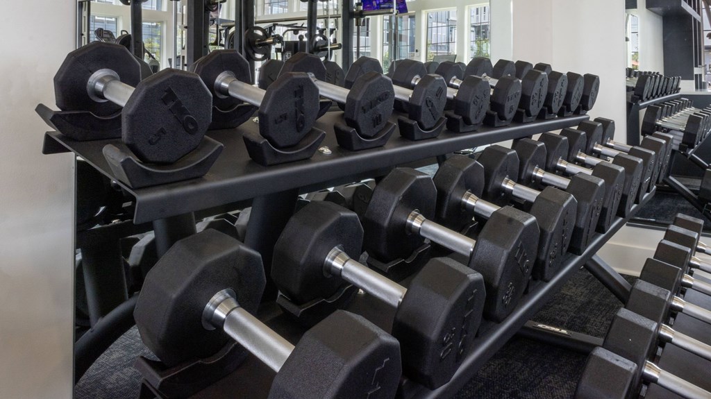 A row of black dumbbells are lined up on a rack in a gym.