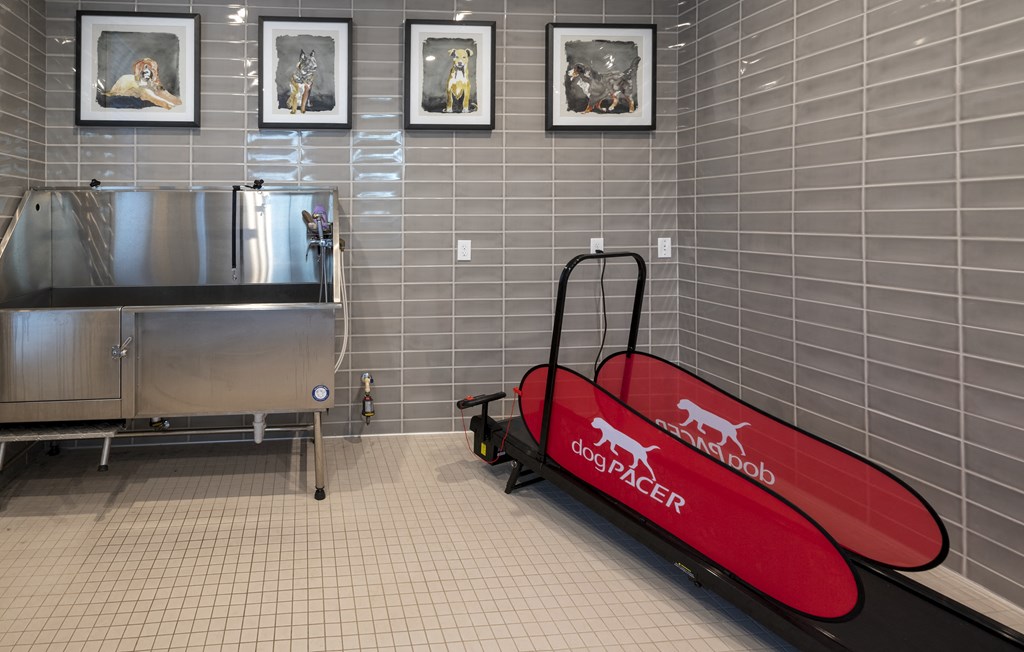 The Collins Pet Spa at 1612 Versailles Business Pkwy, Covington, LA 70433