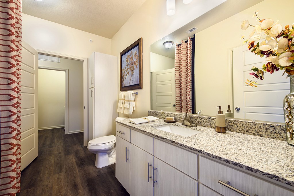 a bathroom with a toilet and a sink and a mirror