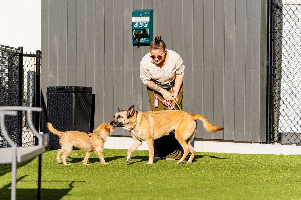 Apartments For Rent In Downtown Birmingham, AL - Market Lofts On Third - Pet Park With Turf Grass And Waste Bags