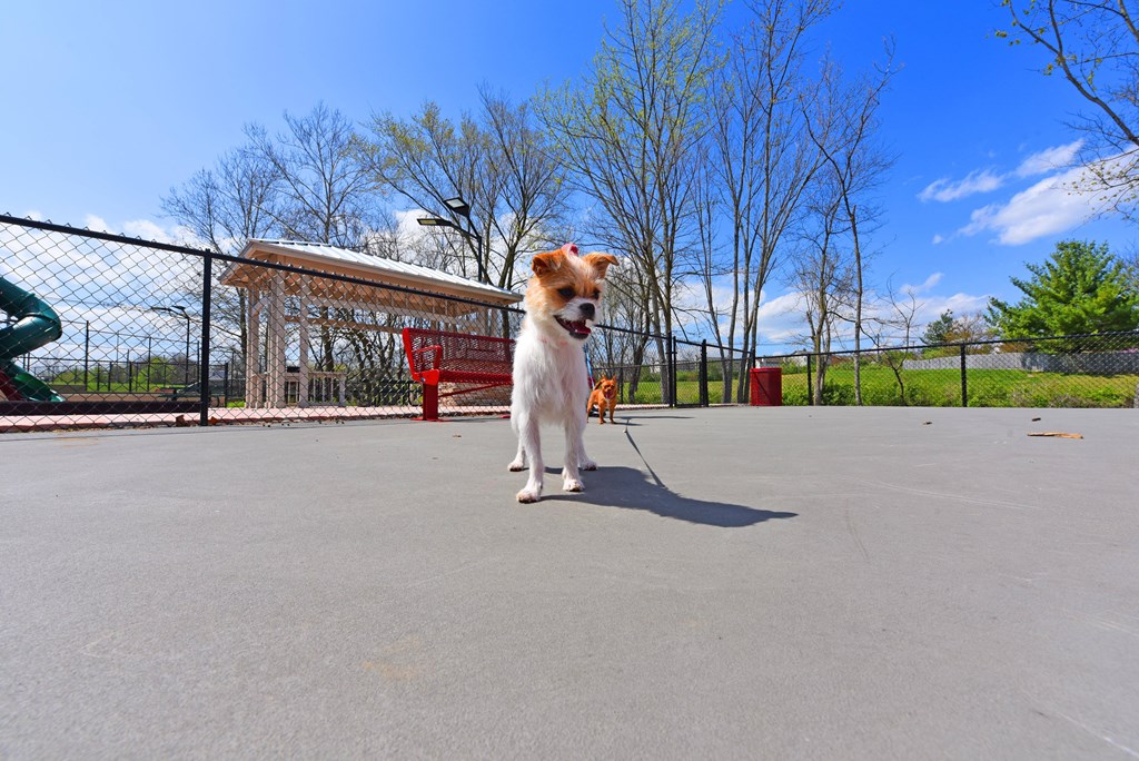 Pet Park at The Metropolitan, Kentucky