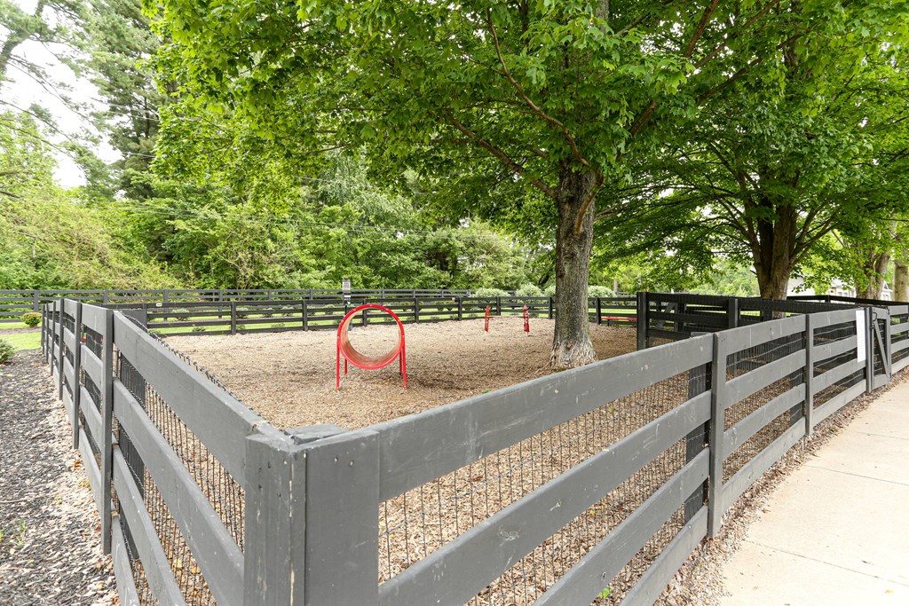 Apartments in Louisville for Rent - SpringHouse - Dog Park With Wooden Fence, Trees, and Obstacle Course Items