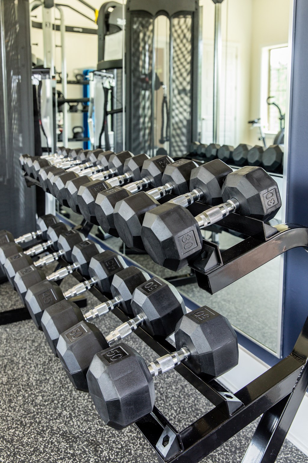 a row of dumbbells on a rack in a gym