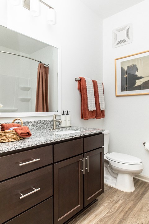 a bathroom with a sink and a toilet and a mirror