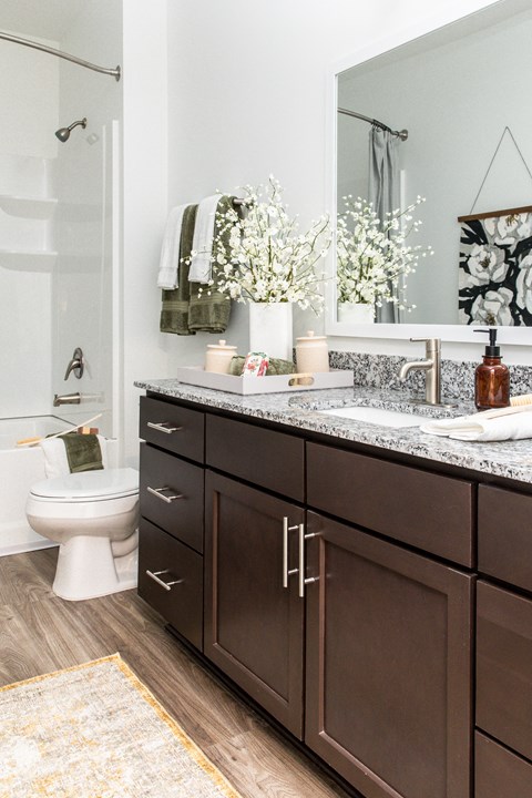 a bathroom with a toilet and a sink and a mirror