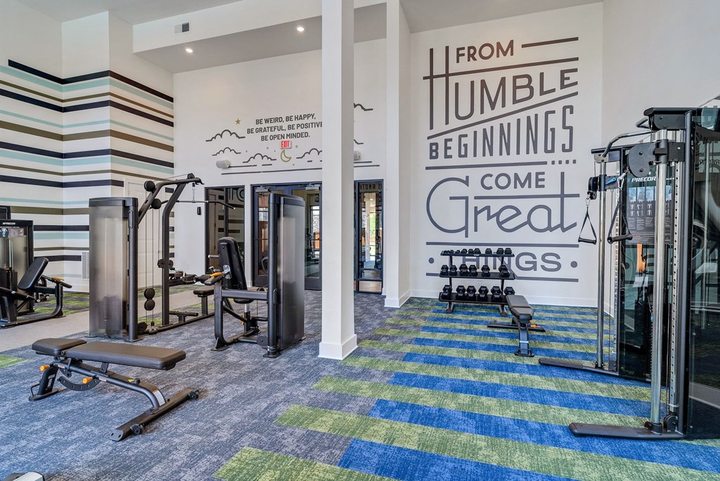a gym with weights and cardio equipment at Tapestry Overbrook in McDonough, Georgia