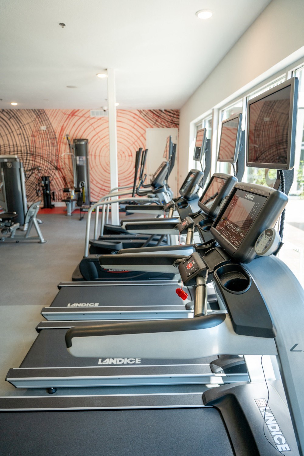 a row of cardio machines in a fitness gym at 20 Midtown, Birmingham, Alabama