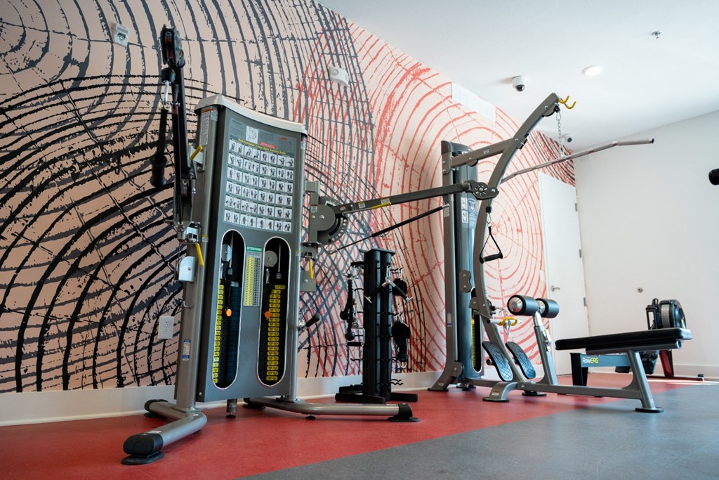 a gym with weights and other equipment and a mural on the wall at 20 Midtown, Birmingham, Alabama