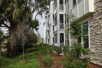 Tapestry Cypress Creek in Land O'Lakes, Florida - Photo Gallery 22
