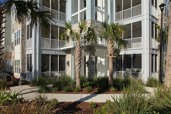 Tapestry Cypress Creek in Land O'Lakes, Florida - Photo Gallery 20