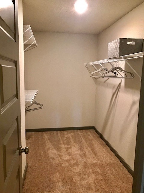 an empty closet with two shelves and a door