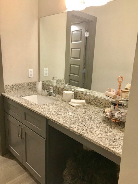 a bathroom with a sink and a mirror