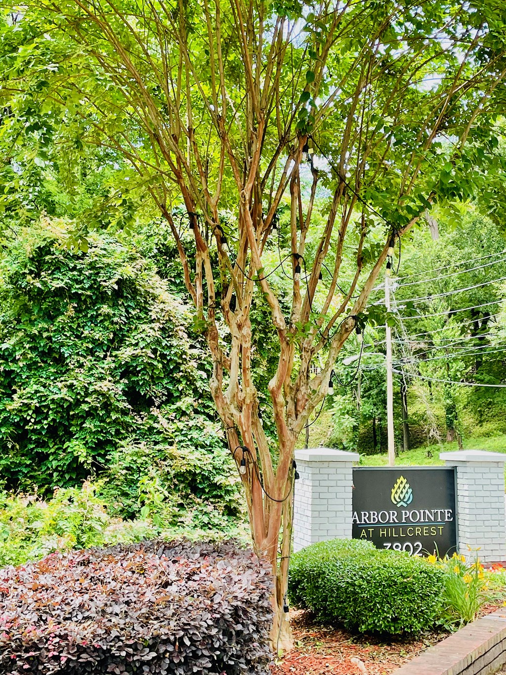 Entrance sign at Arbor Pointe at Hillcrest, Arkansas