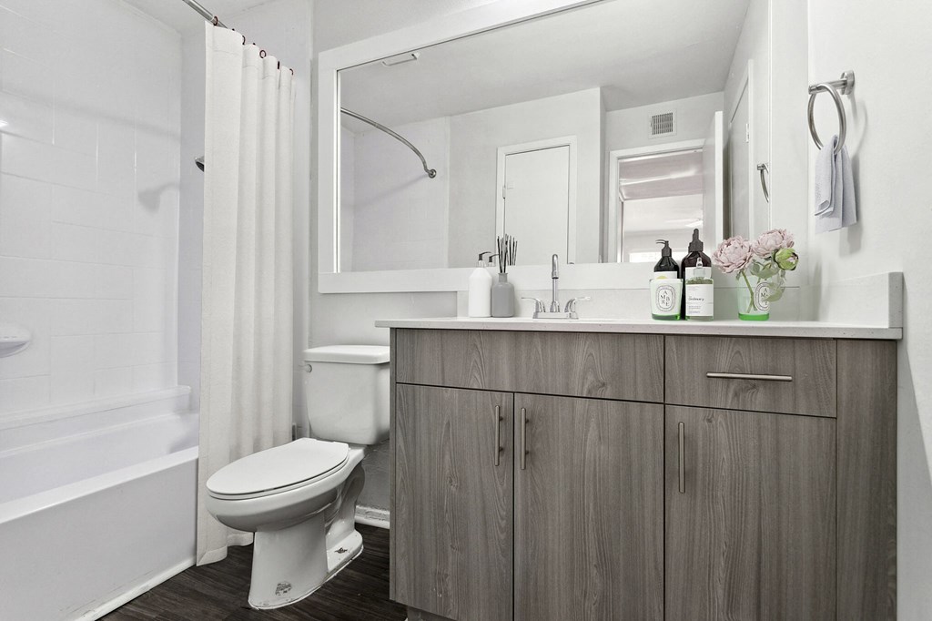 Bathroom Briarhill Apartments 1470 Sheridan Rd NE, Atlanta, GA 30324