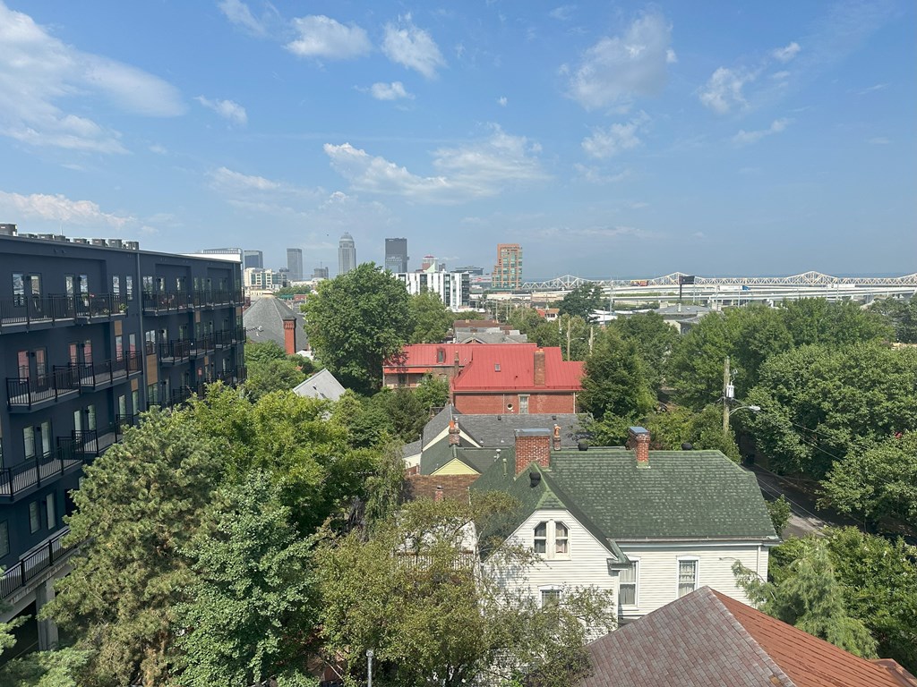 an aerial view of the city of minneapolis with a few houses and trees in the foreground