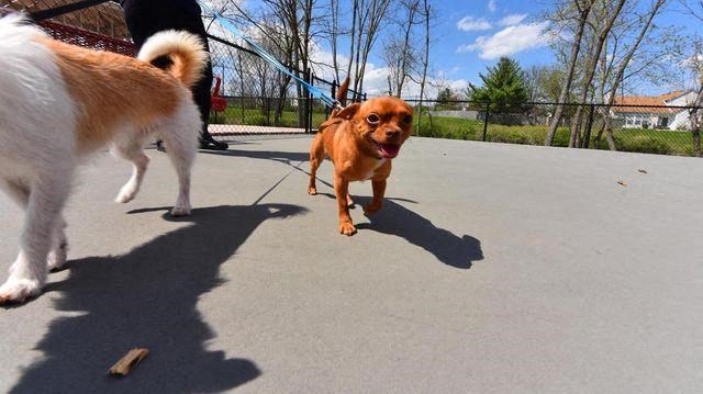 Playground at The Metropolitan, Kentucky