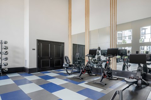 A gym with a row of exercise bikes and a black door.