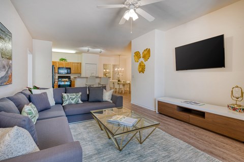 A living room with a grey couch and a black television.