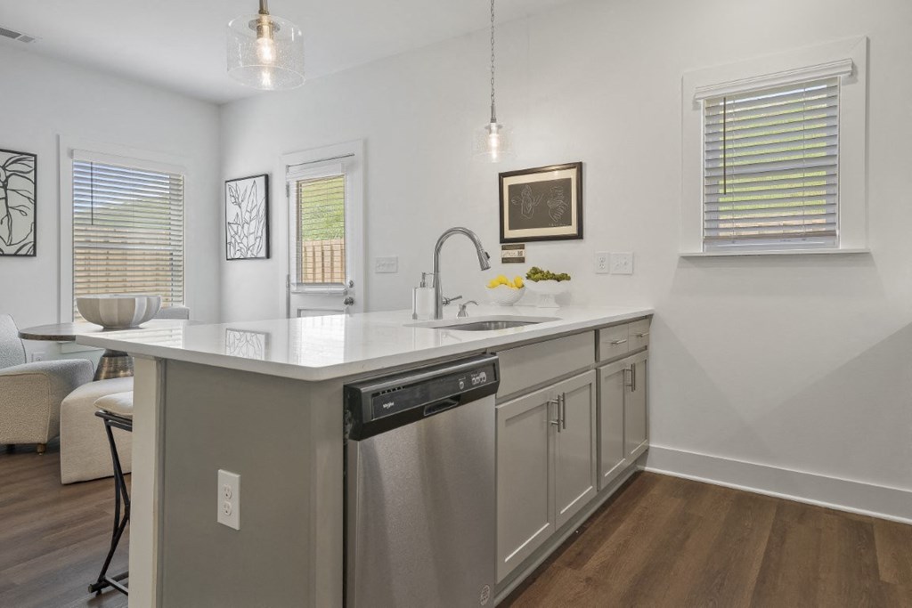 A modern kitchen with a stainless-steel dishwasher and undermount sink.