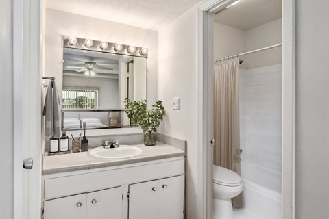 A bathroom with a white sink and a mirror above it.