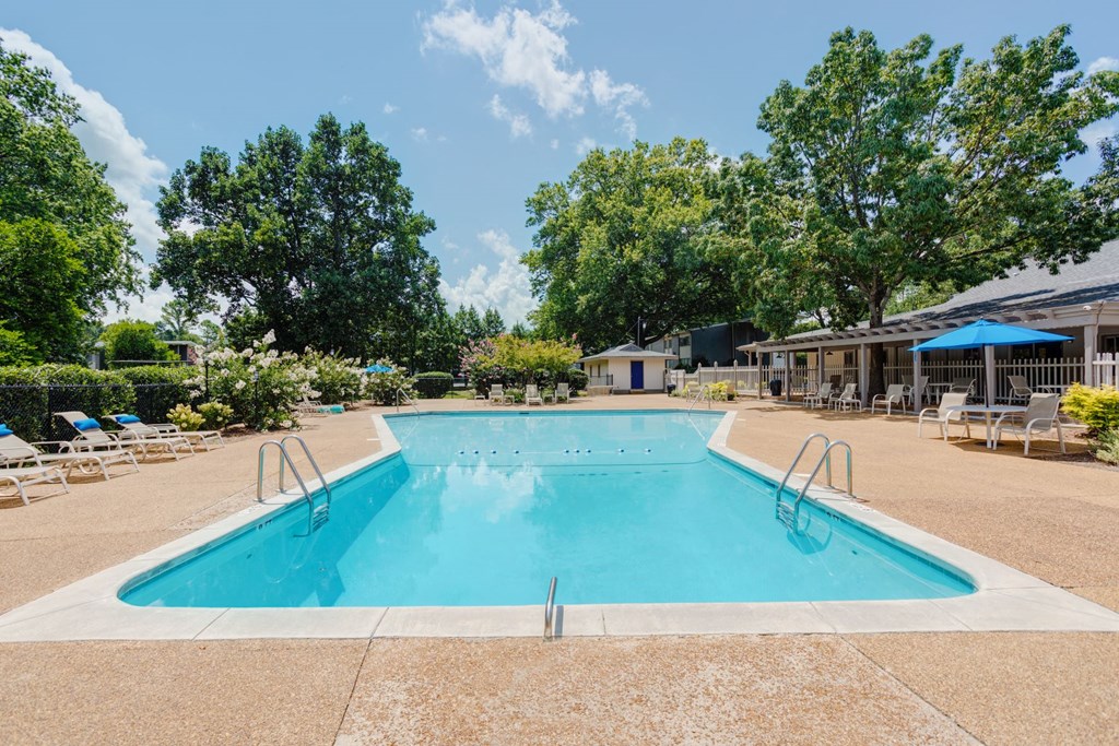 Pool at Malibu at Martin Apartments in Huntsville, Alabama