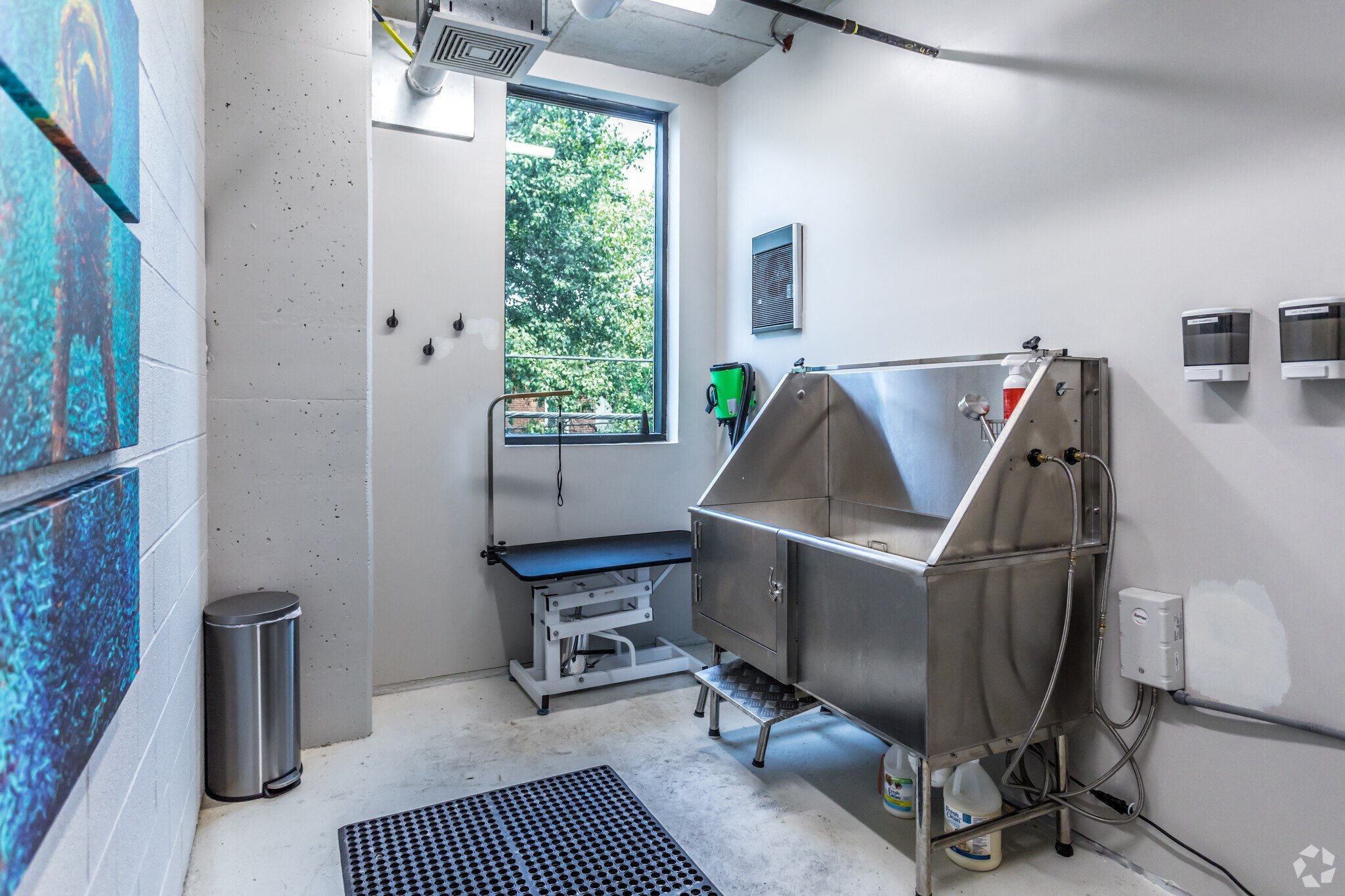 1 BR Apartments In Butchertown, KY - Martin On Main - Stainless Steel Dog Wash Station With Tub, Grooming Table, Trash Can, And Window