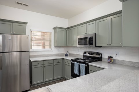 103 Meadows Pl 2 Beds Apartment for Rent