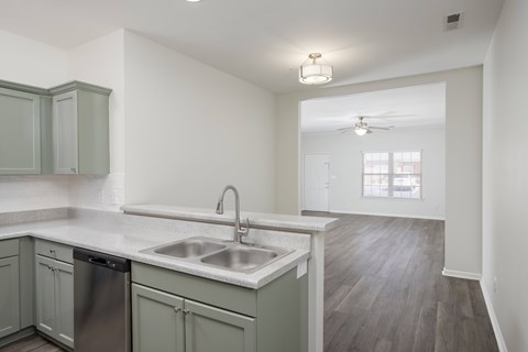 A kitchen with a dishwasher and a sink.