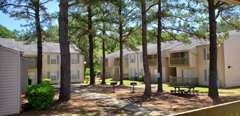 Grilling and Picnic Area Park Lane - Photo Gallery 4