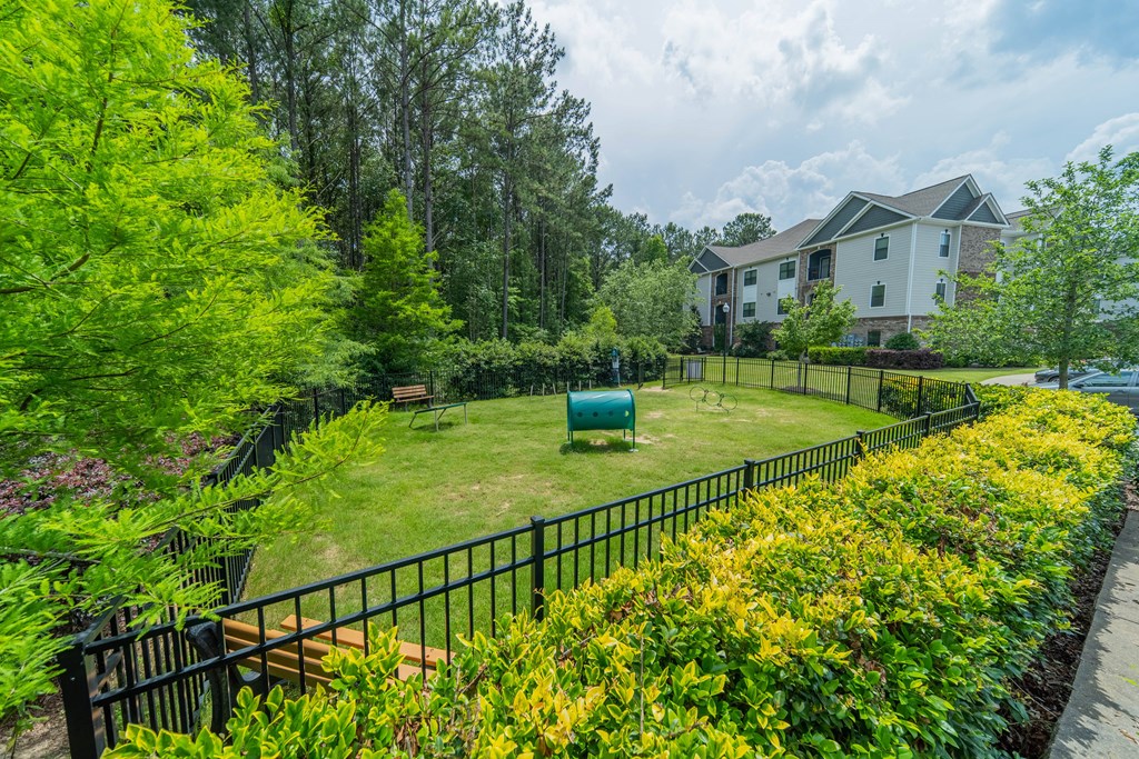 a backyard with a green lawn and a fence