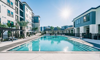 Heated Resort Pool The Pointe on Westshore apartment building swimming pool in Tampa, FL - Photo Gallery 2