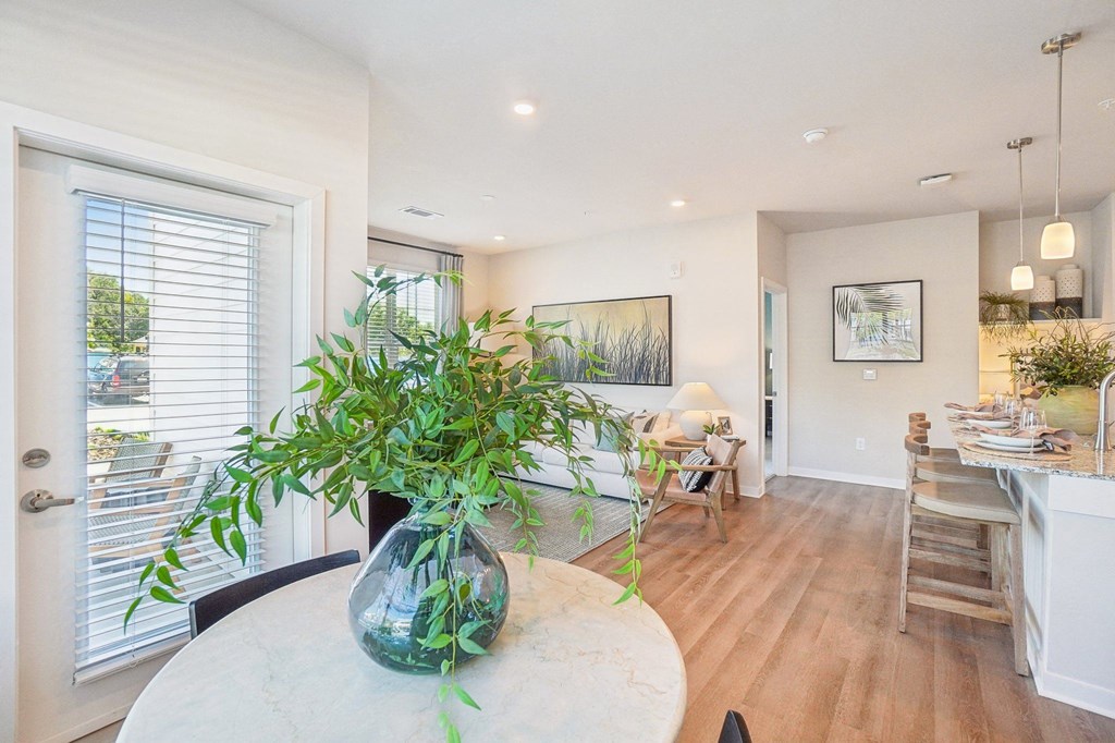 a living room and dining room with a table and a plant