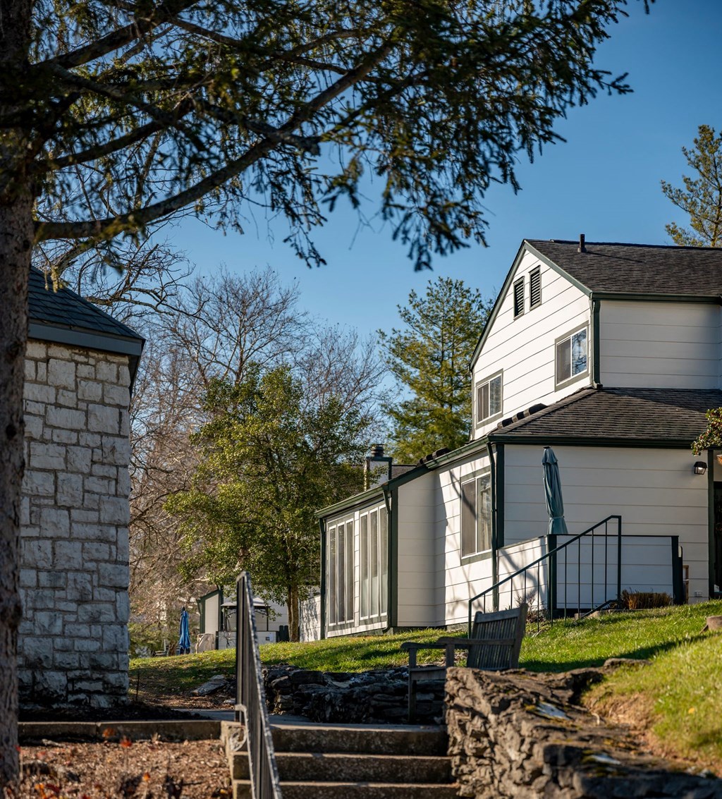 a view of a house and a yard with stairs and a tree