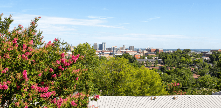 the view of the city from the roof of a building