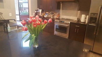 1254 Eastover Drive Studio-3 Beds Apartment for Rent - Photo Gallery 4