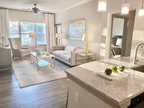 a view of a living room from a kitchen