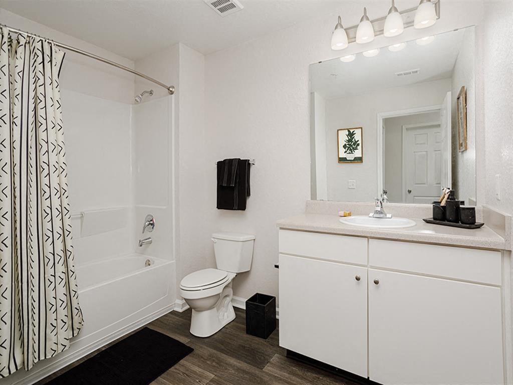 a bathroom with a shower toilet and a sink