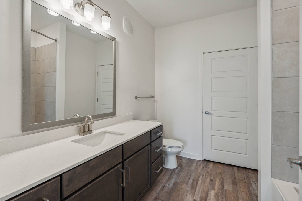 a bathroom with a sink and a mirror and a toilet