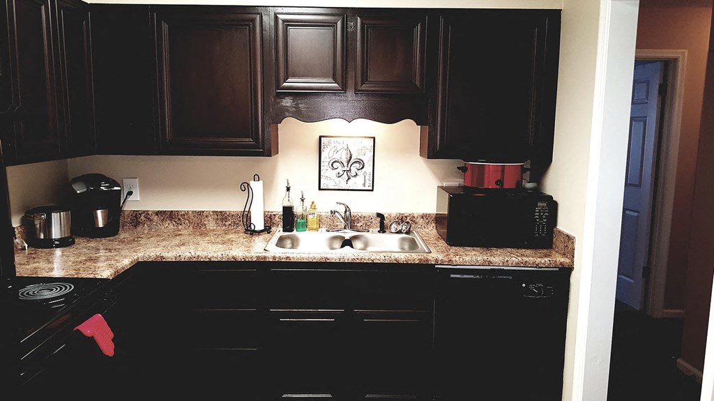 a kitchen with black cabinets and a sink