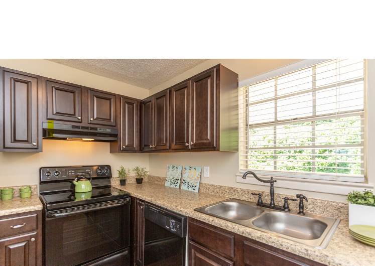 a kitchen with a sink and a stove and a window