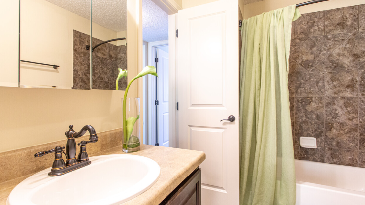 a bathroom with a sink and a shower
