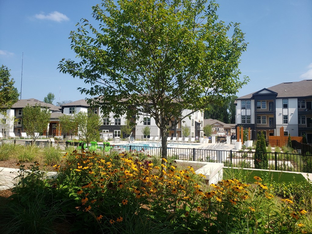 Velo Shelby Farms Cordova TN