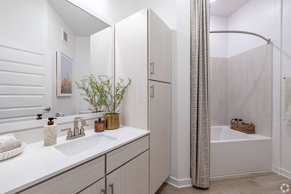 A white bathroom with a sink, mirror, and a plant.