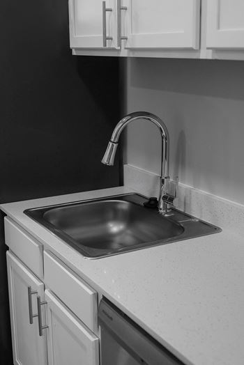 a black and white photo of a kitchen sink