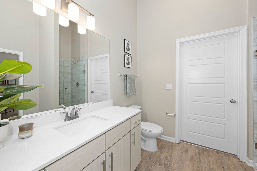 a bathroom with a sink and a toilet and a mirror