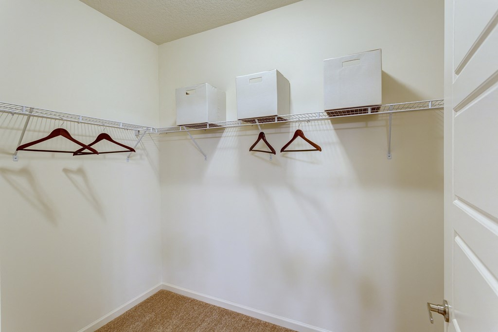an empty closet with hooks and hangers on the wall