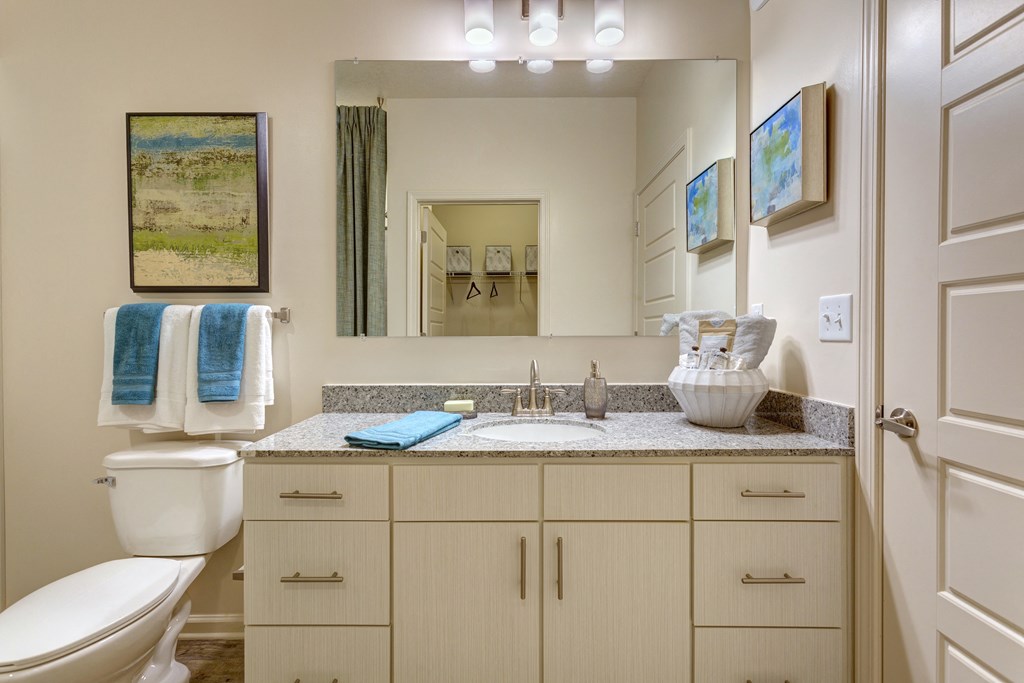 a bathroom with a sink and a toilet and a mirror