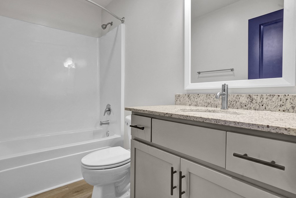 a bathroom with a sink and a toilet and a bath tub