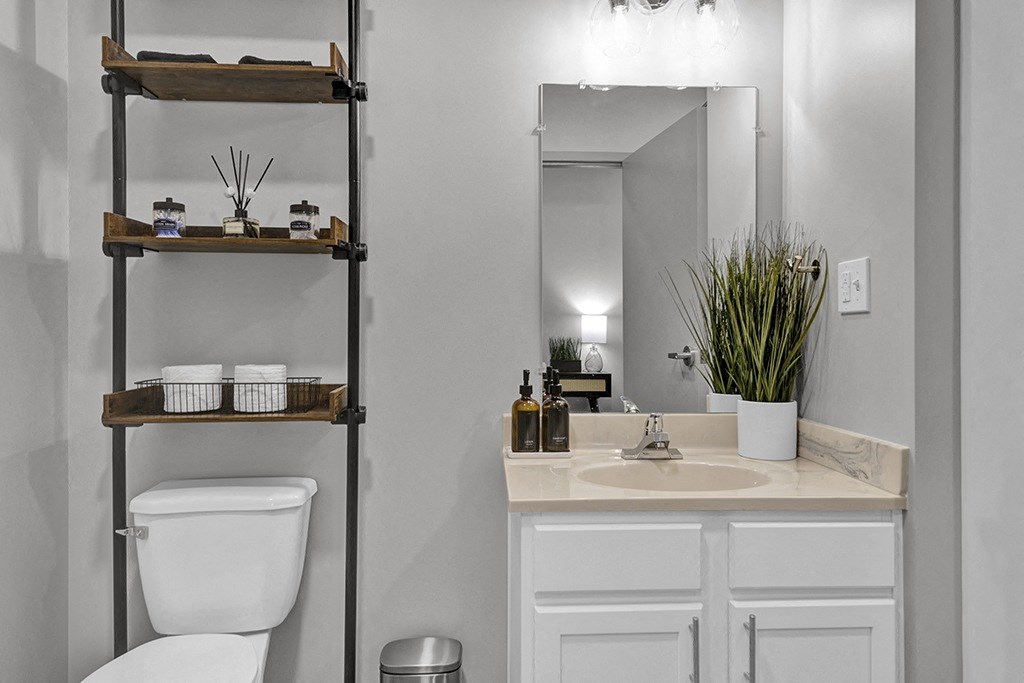 a bathroom with a toilet and a sink and a mirror