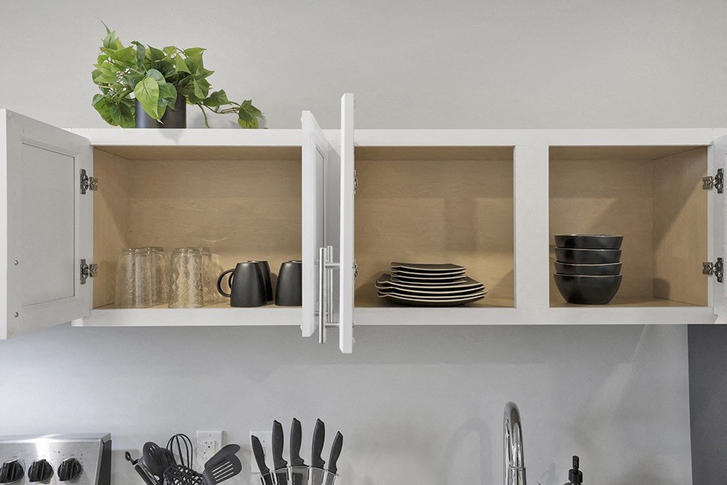 a kitchen with open cupboards with plates and bowls and a plant